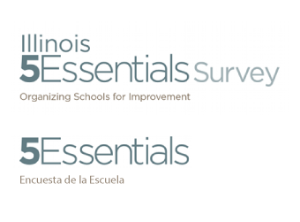 5 Essentials Survey/ 19 / 5,000 Encuesta de 5 elementos esenciales