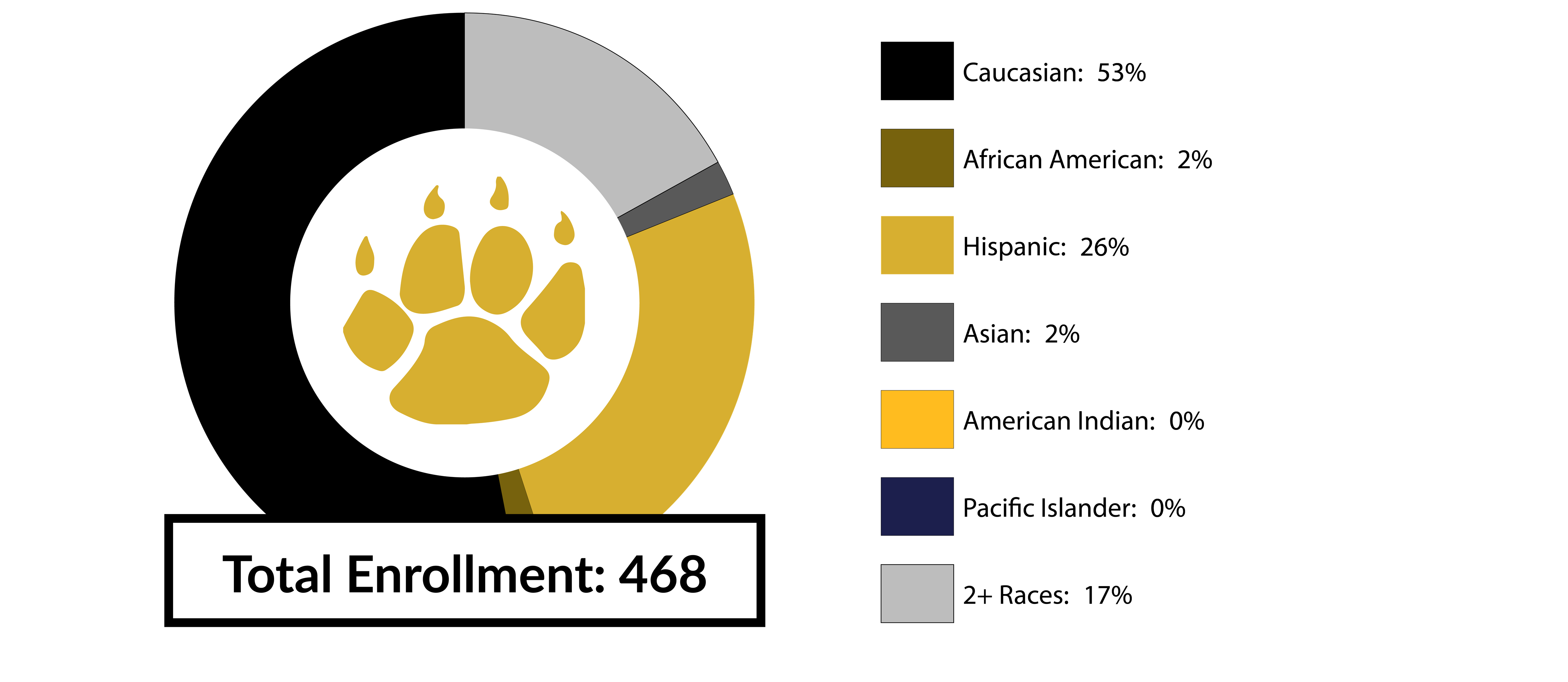 LITH Racial/Diversity Data